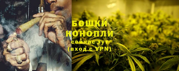 apvp Верея