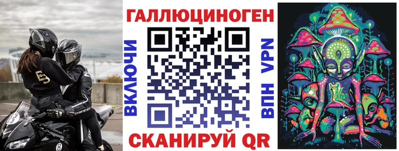 Купить где  Черемхово  Псилоцибиновые грибы Cubensis 